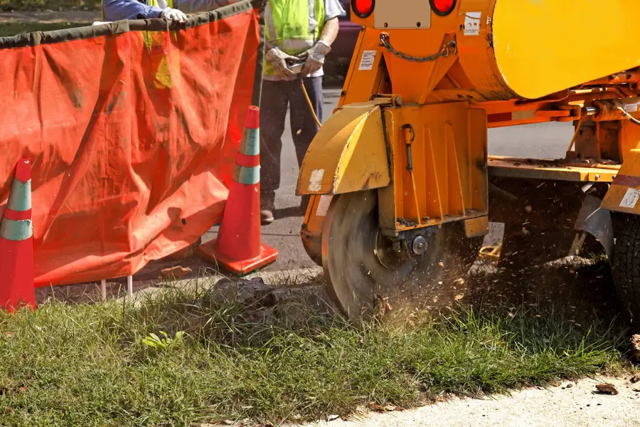 Expert Stump Grinding Sorrento FL Expert Stump Grinding Sorrento FL