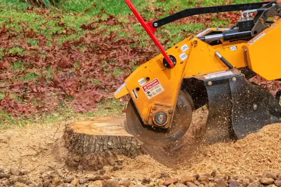 Premium Stump Grinding Sorrento FL Premium Stump Grinding Sorrento FL