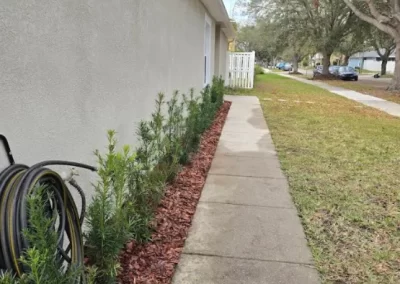 Landscape Services (5)