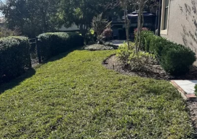 Landscape Services (7)